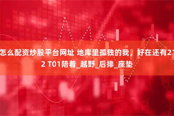 怎么配资炒股平台网址 地库里孤独的我，好在还有212 T01陪着_越野_后排_座垫