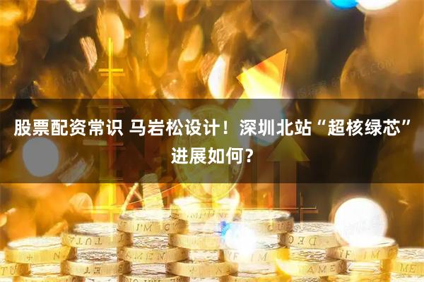 股票配资常识 马岩松设计！深圳北站“超核绿芯”进展如何？